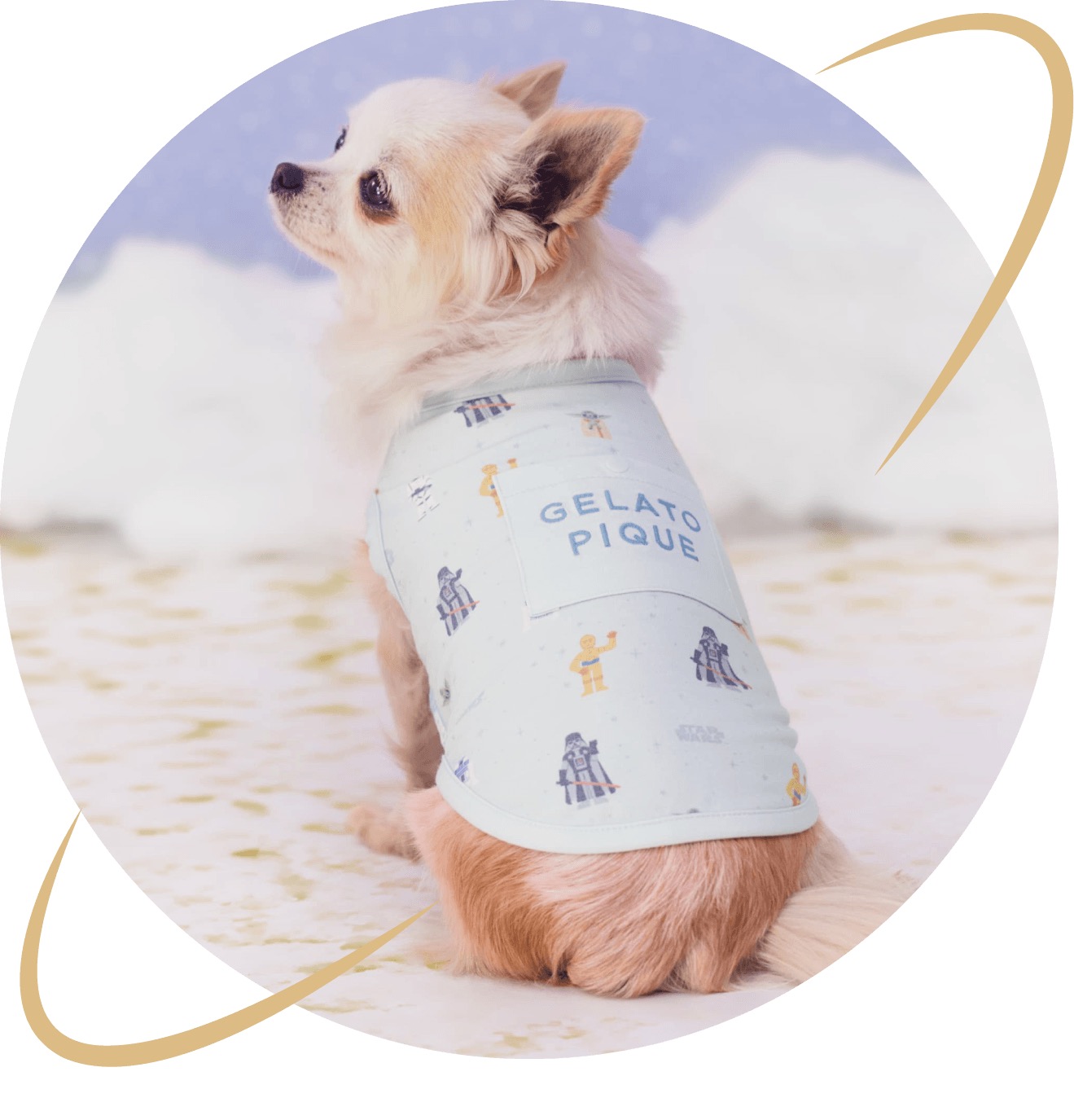 ジェラートピケ STAR WARS CAT&DOG 総柄プルオーバー チワワ ミント
