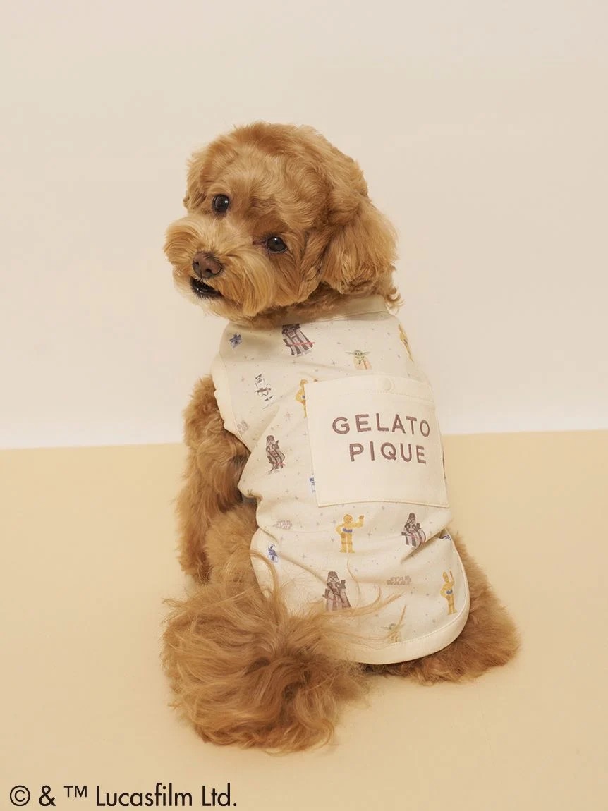 ジェラートピケ STAR WARS CAT&DOG 総柄プルオーバー トイプードル クリーム