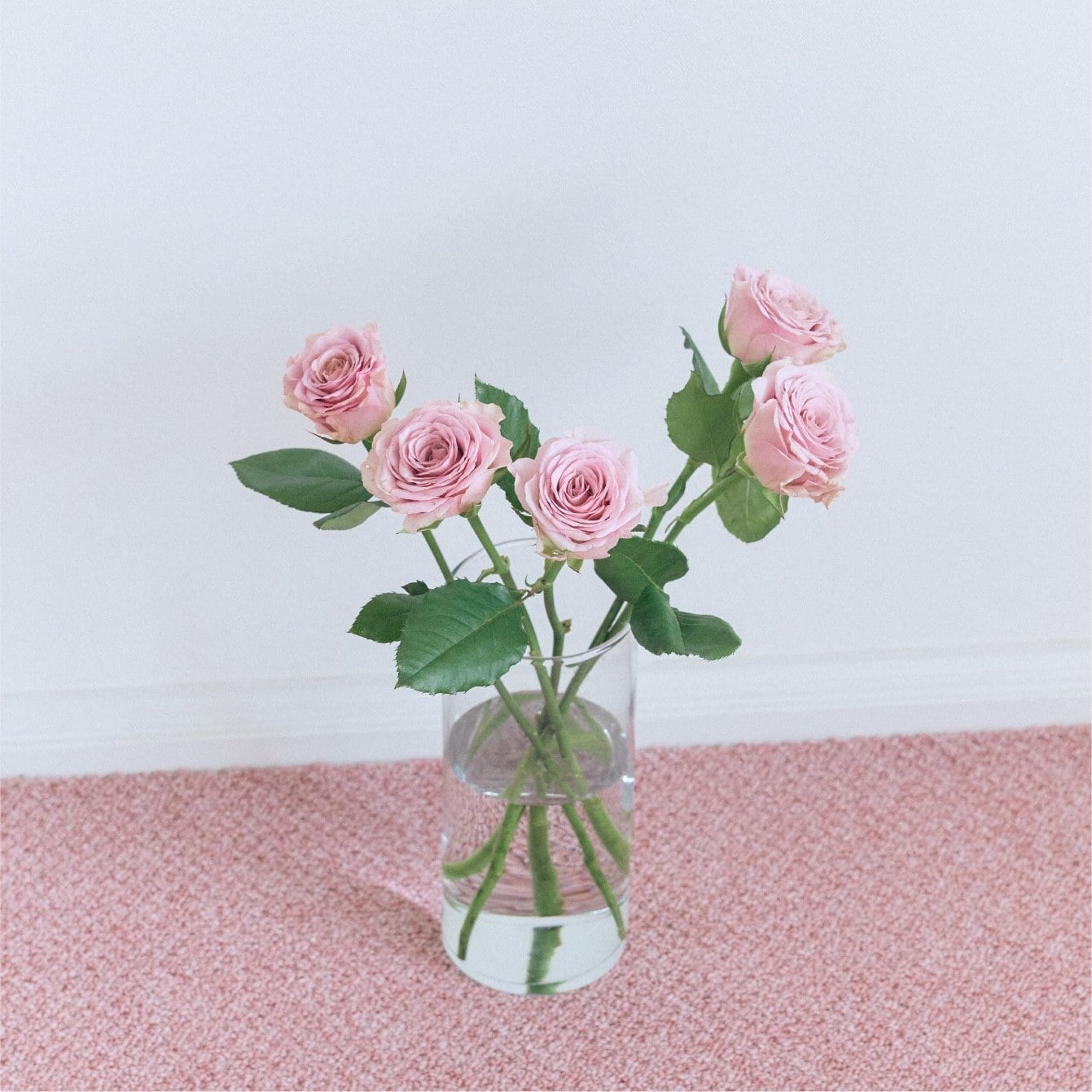 ピンクのラグに置かれたバラの花瓶 SNIDEL HOME IFMC. コレクションのイメージ