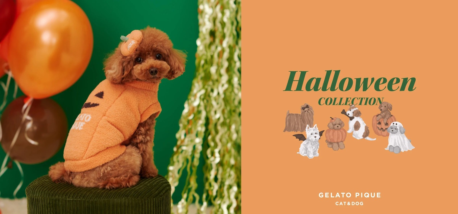 gelato pique CAT&DOG ハロウィンのおばけ・かぼちゃ・こうもりに仮装したワンちゃんたち