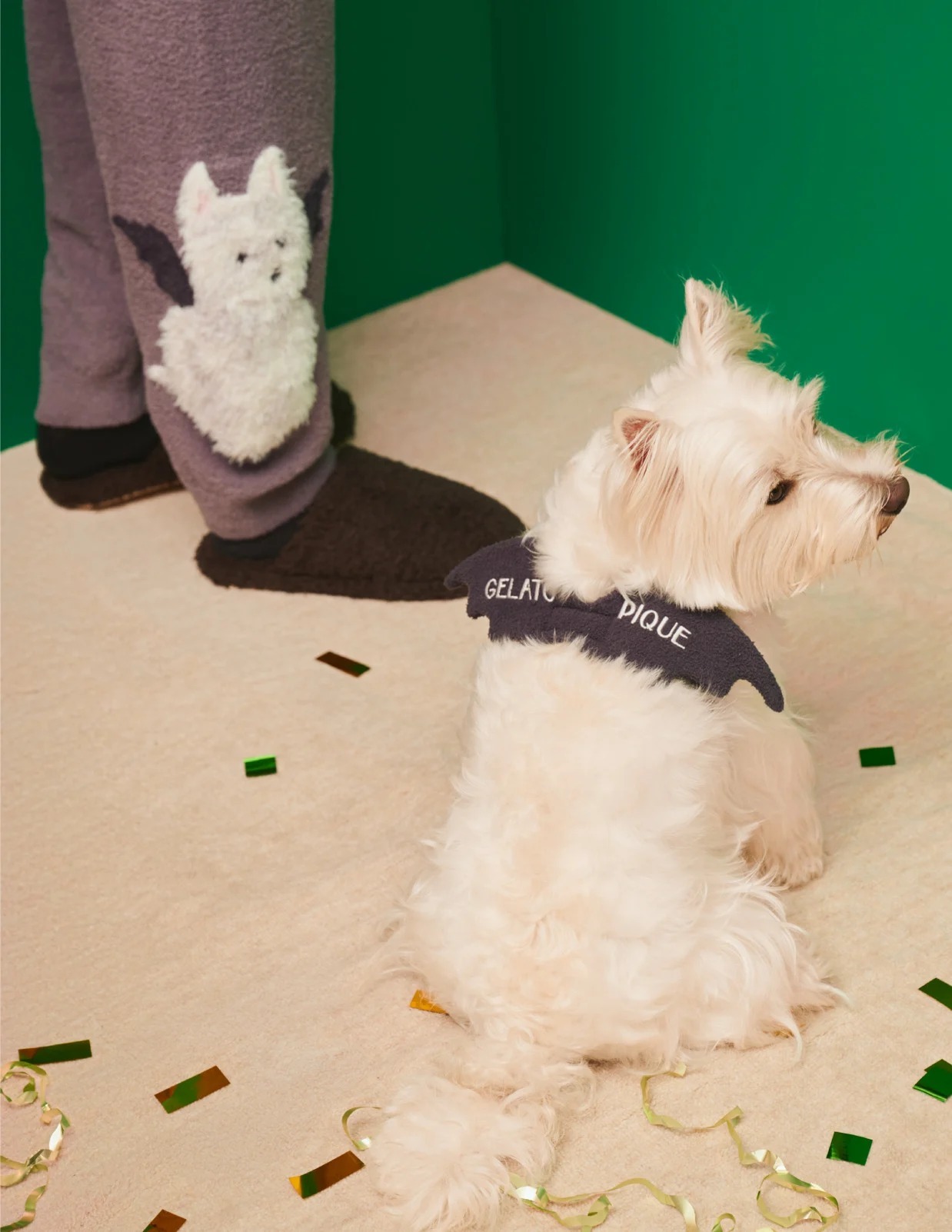 gelato pique ハロウィン こうもりウイングを付けた愛犬のイメージ