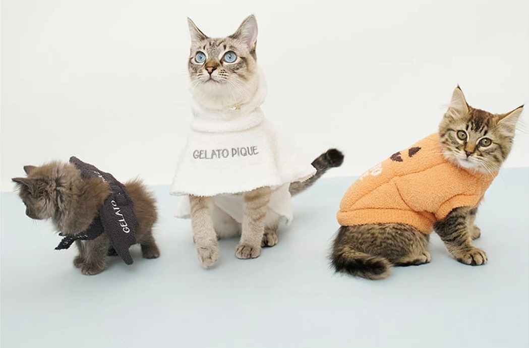 gelato pique CAT&DOG こうもり・おばけ・かぼちゃのウェアを着た猫たち