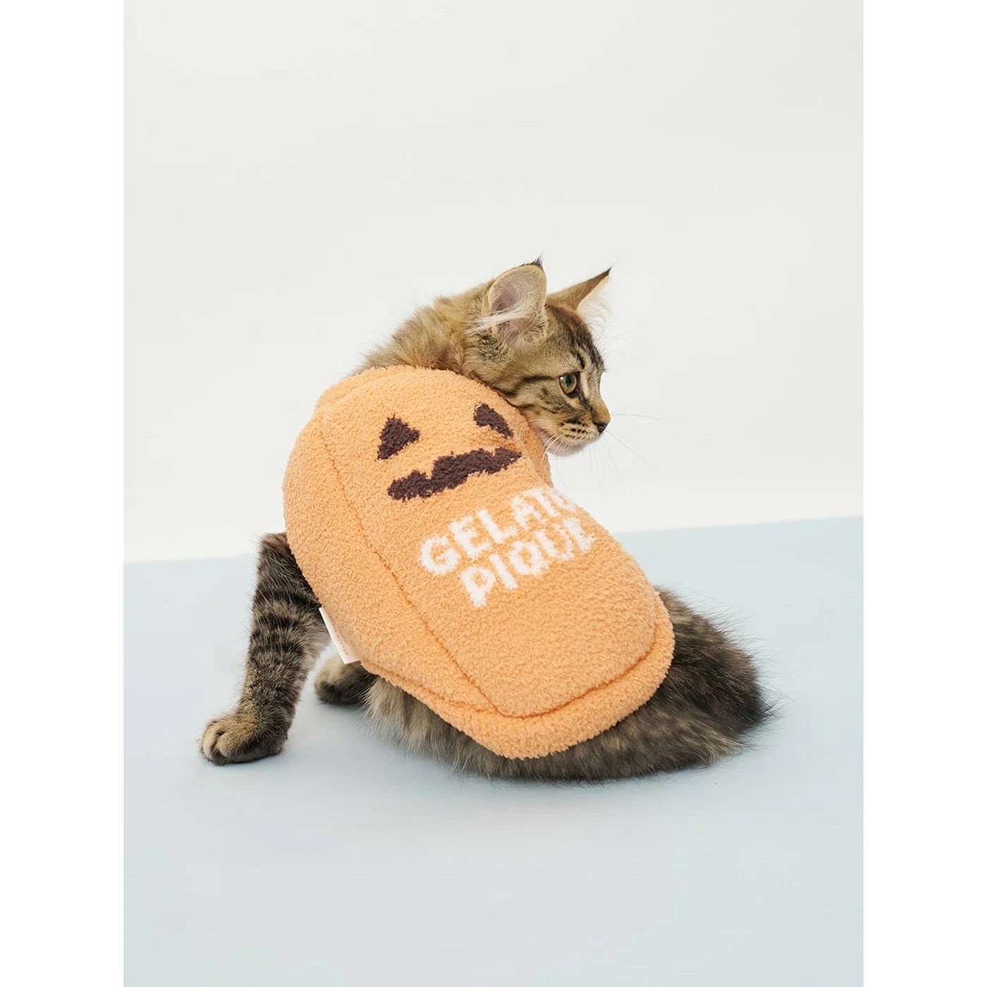 gelato pique CAT&DOG パンプキンプルオーバーを着た猫